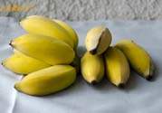 牛奶蕉可以減肥嗎？牛奶蕉怎么吃減肥？