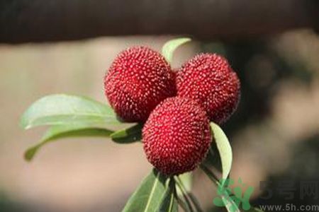 吃楊梅會(huì)上火嗎？吃楊梅上火怎么辦？