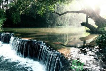 為什么夏至有雨三伏熱？夏至有雨三伏熱是什么意思？