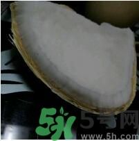 椰子可以放冰箱嗎？椰子放冰箱容易壞嗎？