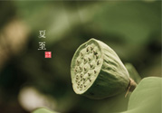 夏至有什么習(xí)俗？夏至吃什么傳統(tǒng)食物？
