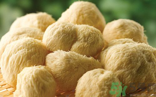吃猴頭菇有什么好處？猴頭菇有什么營養(yǎng)價(jià)值？