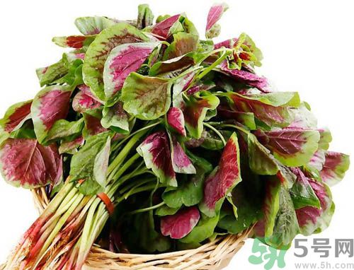 補血吃什么蔬菜好？吃什么蔬菜可以補血？
