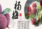 喉嚨痛可以吃楊梅嗎？喉嚨痛吃楊梅好嗎？