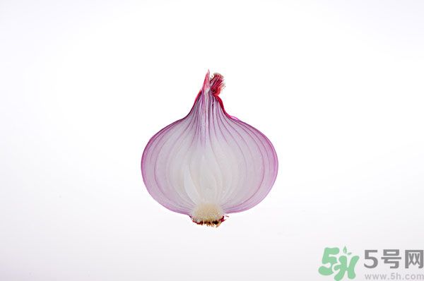 吃洋蔥上火嗎？吃洋蔥會上火嗎？