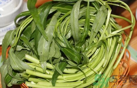 空心菜吃葉子還是吃桿？空心菜吃葉子好嗎？
