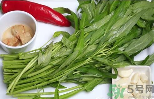 空心菜吃葉子還是吃桿？空心菜吃葉子好嗎？