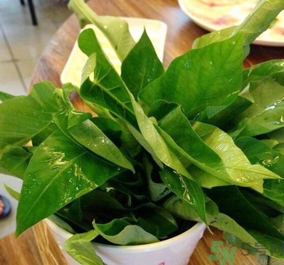 空心菜泡水了還能吃嗎？泡水的空心菜可以吃嗎？