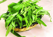 吃空心菜有什么好處？多吃空心菜對(duì)身體好嗎？