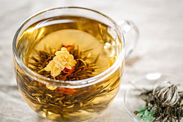 茉莉花綠茶加苦瓜能減肥嗎？茉莉花和苦瓜泡水喝嗎？