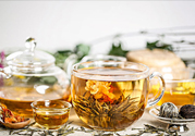 茉莉花綠茶加苦瓜能減肥嗎？茉莉花和苦瓜泡水喝嗎？