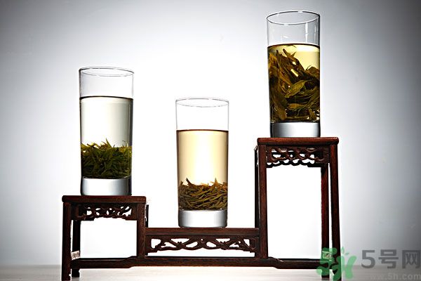 茯苓和苦丁茶能一起泡嗎？茯苓可以和苦丁茶一起喝嗎？