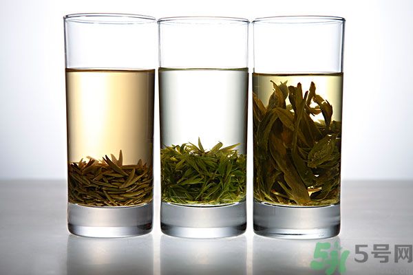 茯苓和苦丁茶能一起泡嗎？茯苓可以和苦丁茶一起喝嗎？