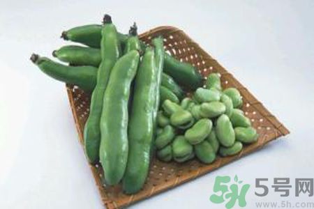 蠶豆是熱性還是涼性？蠶豆是熱性的嗎？