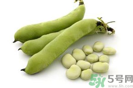 寶寶可以吃蠶豆嗎？寶寶多大可以吃蠶豆？