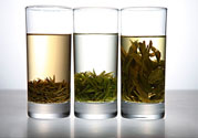 茯苓和苦丁茶能一起泡嗎？茯苓可以和苦丁茶一起喝嗎？