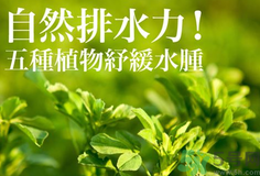 南瓜去水腫嗎？南瓜能消腫嗎？