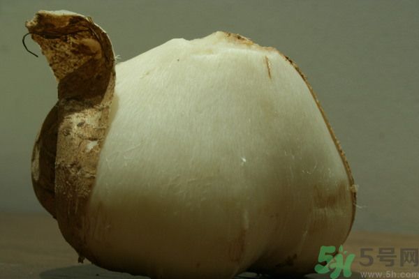 涼薯吃多了好嗎？地瓜吃多了會上火嗎？