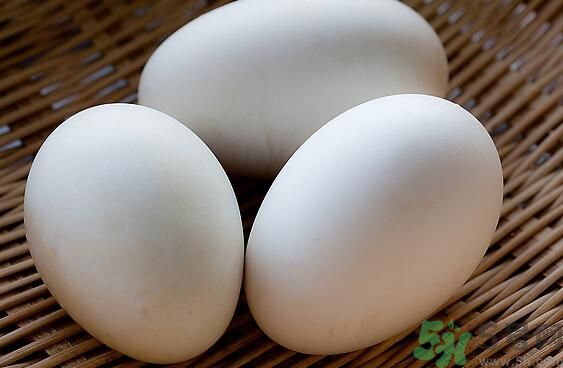 鵝蛋可以清火嗎？鵝蛋可以降火嗎？