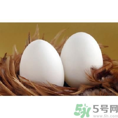 鵝蛋可以清火嗎？鵝蛋可以降火嗎？