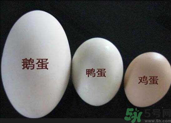 鵝蛋和鴨蛋哪個(gè)好？鵝蛋和鴨蛋哪個(gè)清火效果好？