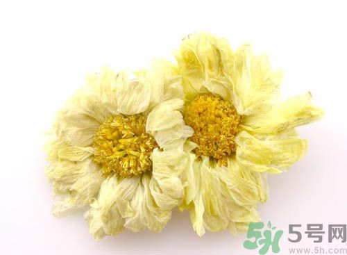 菊花晶能喝綠豆湯一起喝嗎？菊花晶和綠豆湯可以一起喝嗎？