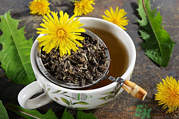 蒲公英泡茶有什么功效？蒲公英泡茶的功效是什么？