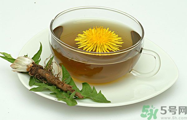 蒲公英根泡茶好還是蒲公英葉泡茶好？蒲公英根和葉哪個效果好？