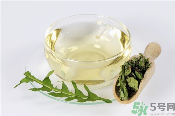 蒲公英根泡茶好還是蒲公英葉泡茶好？蒲公英根和葉哪個(gè)效果好？