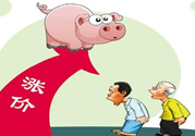 豬肉價(jià)格為什么驚動世界？豬肉價(jià)格一直上漲的原因是什么？