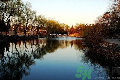 清華取消北大培文杯非原創(chuàng)考生自招資格是怎么回事？