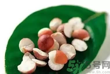 夏天吃芡實(shí)好嗎？夏天吃芡實(shí)有什么好處？