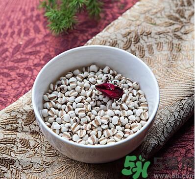 夏天吃薏米好嗎？夏天吃薏米有什么好處？
