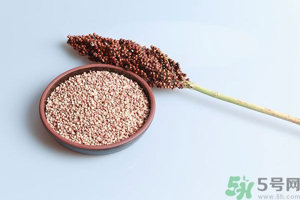 夏天吃高粱好嗎？夏天吃高粱有什么好處？
