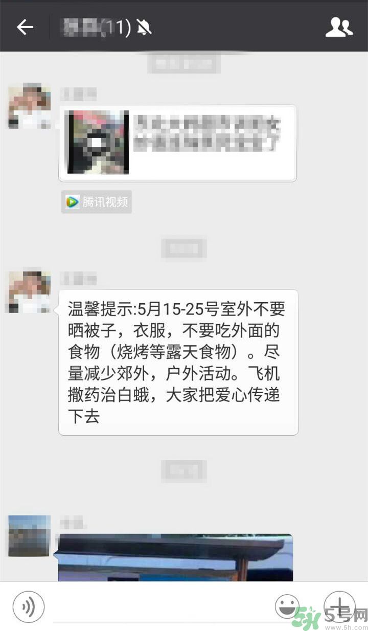 為什么15-25號不要曬被子？什么是美國白蛾？