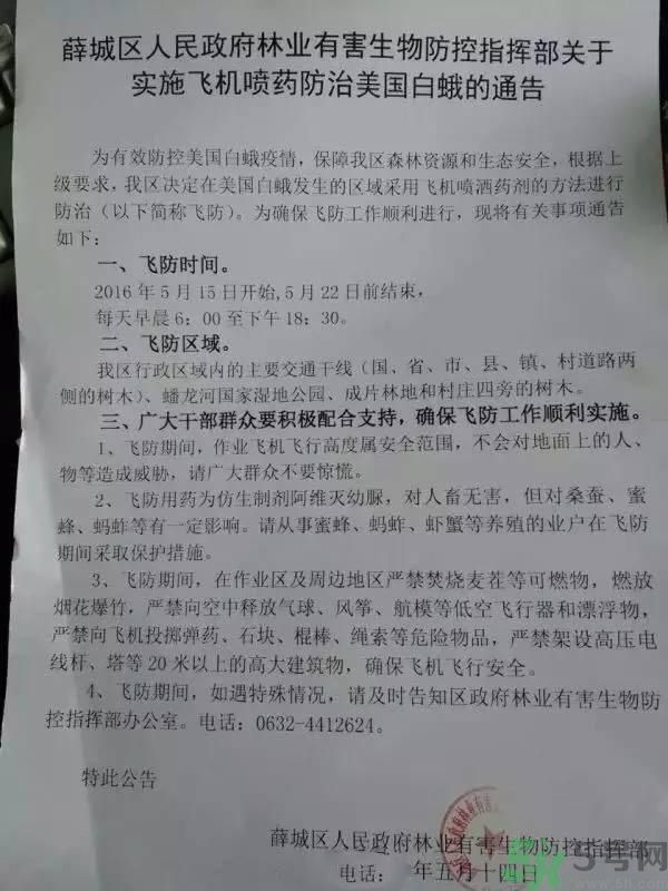 為什么15-25號不要曬被子？什么是美國白蛾？