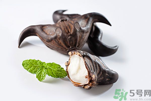 寶寶可以吃菱角嗎？寶寶多大可以吃菱角？