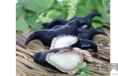 菱角怎么剝完整？菱角剝不開(kāi)怎么辦？