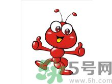 家里有螞蟻怎么辦？驅(qū)除螞蟻的方法是什么？