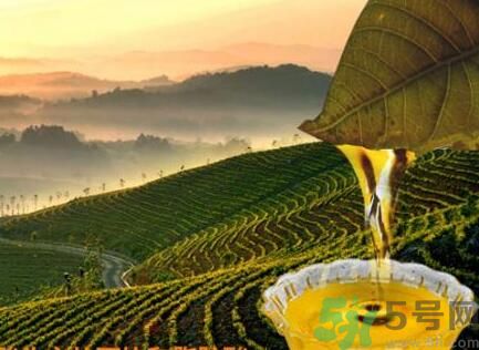 茶籽油可以天天吃嗎？可以每天用茶籽油炒菜嗎？