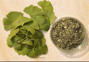 夏天可以喝銀杏葉茶嗎？夏天喝銀杏葉茶好嗎？