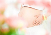孕婦可以喝米茶嗎？懷孕可以喝米茶嗎？