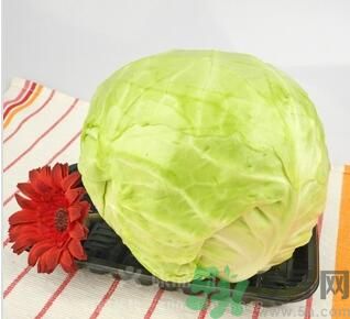 包菜是涼性的嗎？包菜是涼性還是熱性的？
