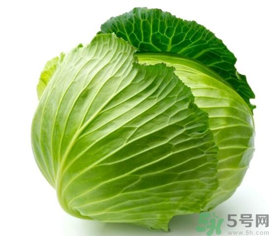 包菜是涼性的嗎？包菜是涼性還是熱性的？