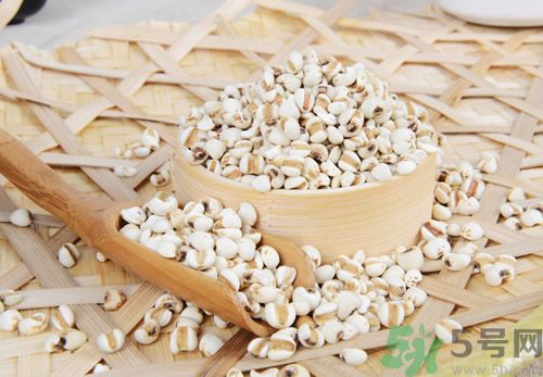 經(jīng)期可以喝薏米水嗎？經(jīng)期喝薏米水會不會肚子痛？