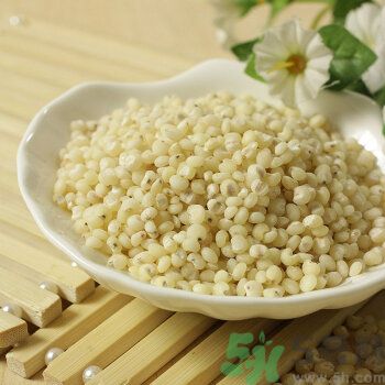 高粱米是涼性嗎？高粱米是涼性還是熱性？