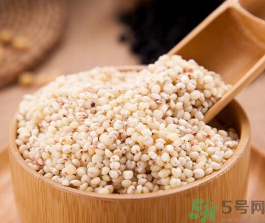 高粱米是發(fā)物嗎？高粱米是不是發(fā)物？
