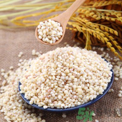 高粱米能做飯嗎？高粱米做飯好嗎？