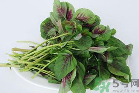 漢菜是熱性還是涼性？漢菜是涼性的嗎？