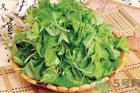 莧菜是發(fā)物嗎？莧菜是不是發(fā)物？